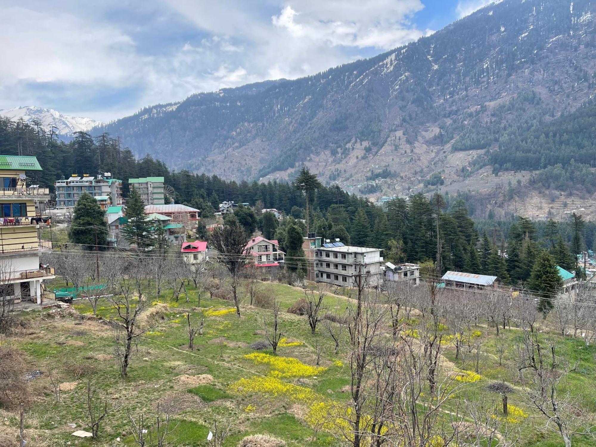 Shubham Cottage Manali - Manali (Himachal Pradesh), Manali